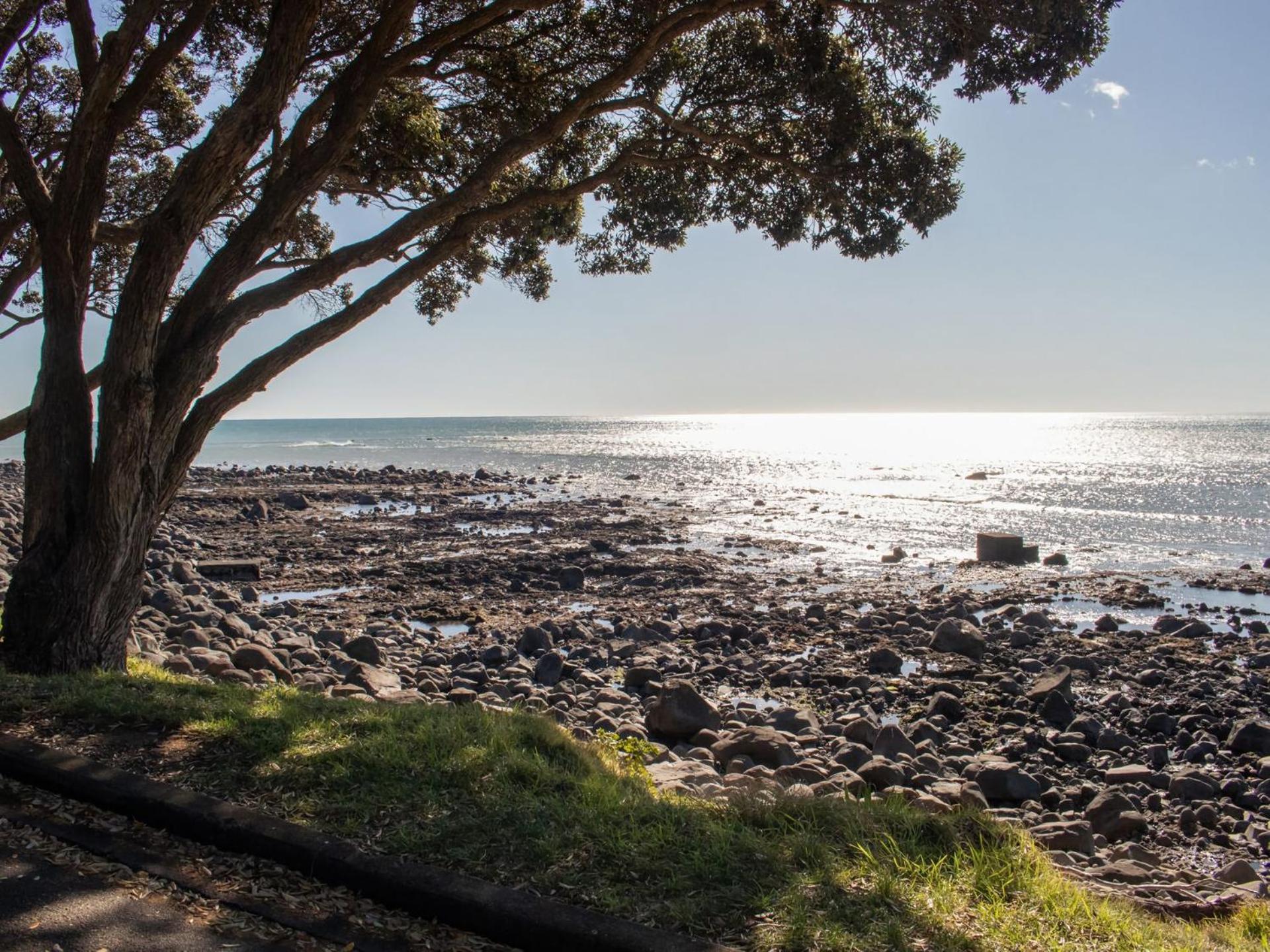 The Coastal Cottage Central City Location New Plymouth Exterior foto